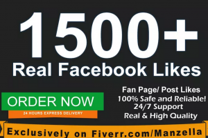 Facebook Likes